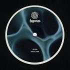 BLNDR - Radiolaria