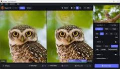 Topaz Gigapixel Pro v1.1.2 (x64)