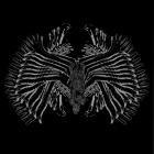 Astral Tomb - Total Spiritual Death