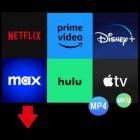 Pazu StreamGet AIO Downloader v2.8.9