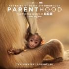 Tom Howe - Parenthood: The Greatest Adventure (Music From The P