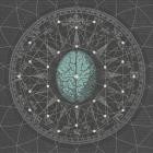 Bipolar Architecture - Metaphysicize
