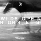 James Vincent McMorrow - Wide open, horses