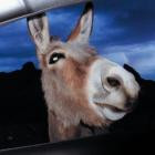 SUPERWORLD-Super World-24BIT-48KHZ-WEB-FLAC-2026-FLACCiD