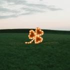 Grayscale - The Hart (Deluxe)