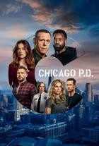 Chicago PD - Staffel 8
