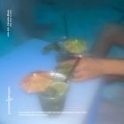 Inter Alia - Paradise Music