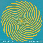 Sufjan Stevens-Convocations-24BIT-96KHZ-WEB-FLAC-2021-FLACCiD