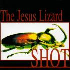 The Jesus Lizard - - Shot  