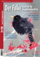 Der Falke - Journal fuer Vogelbeobachter 01/2025