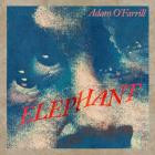 Adam O'Farrill - ELEPHANT