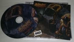 Anatomize-Systematic Torture- NSE117-01 -CD-FLAC-2025-86D