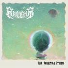 Radement - Live Tarantula Studios