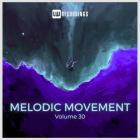 VA - Melodic Movement Vol  30