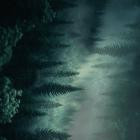 Electronic Visions - Forest Language: B-Sides