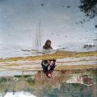 Tiny Vipers - Tormentor