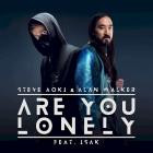 Shteppi - Are You Lonely