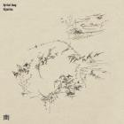 Eyvind Kang - Riparian