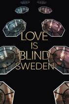 Love is Blind: Sweden - Staffel 3