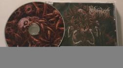 Necromonger-Abyssal Flesh Construct- SBDC017 -CD-FLAC-2025-86D