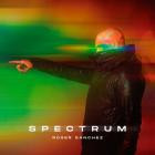 Roger Sanchez - Spectrum
