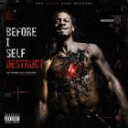 AK Bandamont - Before I Self Destruct