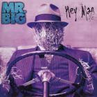 Mr  Big - - Hey Man  