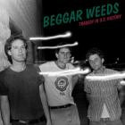 Beggar Weeds - Tragedy in U S  History