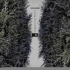 VIMINOR - Escaping from Reality