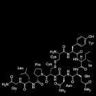 King 810 - K8 Rustbelt Numetal 3