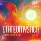 VA - Ethneomystica Vol  12