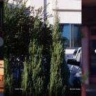 Shinichi Atobe - Silent Way