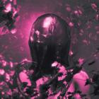 Pinknoise - FLESH AND BONE
