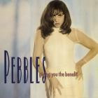 Pebbles-Giving You The Benefit-16BIT-WEB-FLAC-1990-SHHHHHH