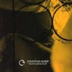 Counting Sheep - What's Going On EP