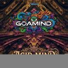 Goamind - Acid Mind