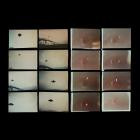 Kallax - World Domination Techniques