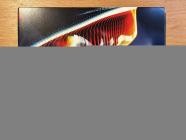 Saafi Brothers - A Relaxed Blur  