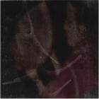 Bergsonist - Ode To Life