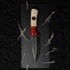 Finalversion3 - Estudio Sobre La Belleza De Lo Fisico