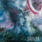 Confusing Paradise - Qualia