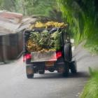 VA - no pare, sigue sigue 4