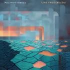 Polyrhythmics - Life From Below