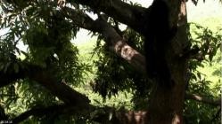 Retter.der.Wildnis.S01E08.Peru.German.DOKU.WEB.H264-GWD