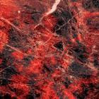 AWB - Celestial Longitude EP