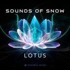 Sounds Of Snow - Lotus