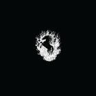 The Besnard Lakes - The Besnard Lakes Are A Live