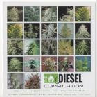 VA-The Diesel Compilation-16BIT-WEB-FLAC-2006-LSM