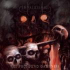 In Malice's Wake - The Profound Darkness