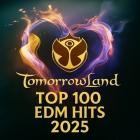 Tomorrowland 2025 Top 100 EDM HITS (31.10.2025)